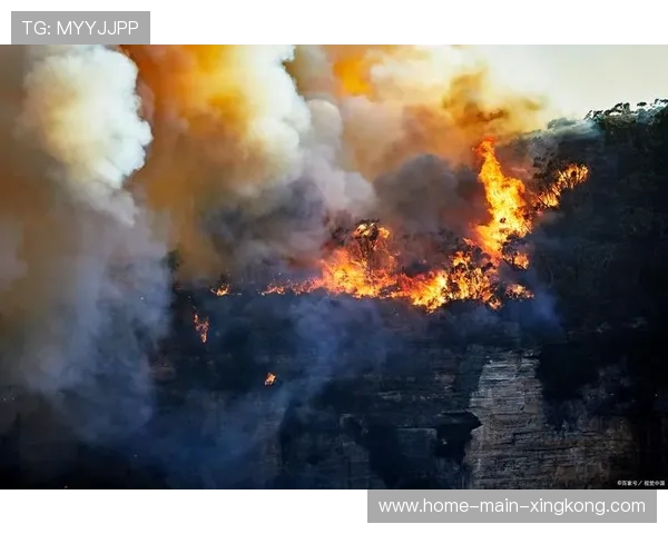 浙江队攻势堆叠如潮水般不断涌来 浙江队攻势堆叠如潮水般不断涌来