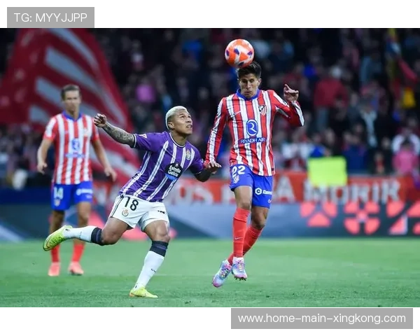 阿森纳补强中后场防守屏障