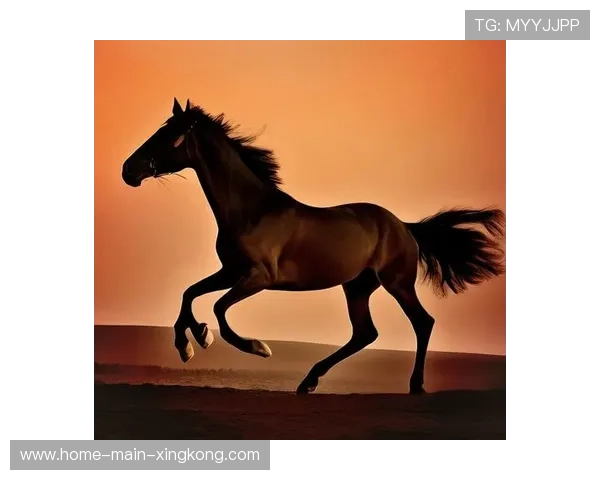 展望未来:哪些队伍将成为黑马?,展望未来_哪些队伍将成为黑马 展望未来:哪些队伍将成为黑马?,展望未来_哪些队伍将成为黑马